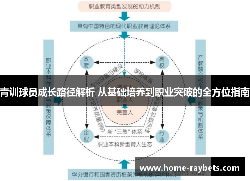 青训球员成长路径解析 从基础培养到职业突破的全方位指南