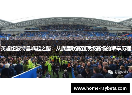 英超纽波特县崛起之路：从底层联赛到顶级赛场的艰辛历程