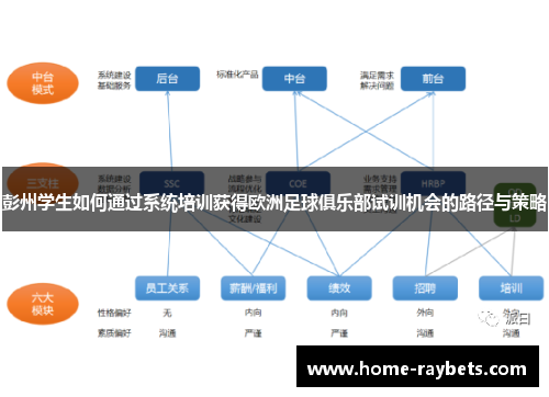 彭州学生如何通过系统培训获得欧洲足球俱乐部试训机会的路径与策略