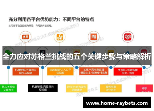 全力应对苏格兰挑战的五个关键步骤与策略解析